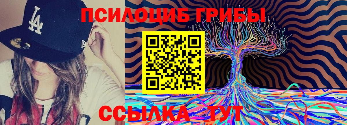 Галлюциногенные грибы Magic Shrooms Карталы