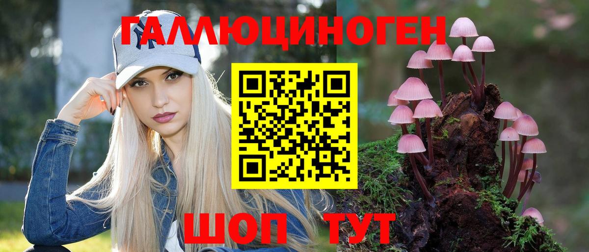 Карталы  Галлюциногенные грибы Cubensis  Псилоцибиновые грибы мицелий  Вход с VPN 